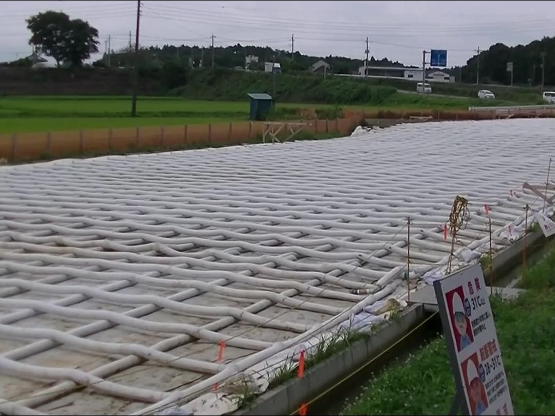 パレスシートを用いた地盤養生